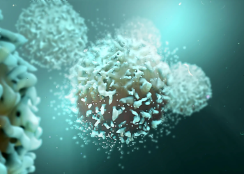 Gene-edited CAR-T cells erase aggressive T-cell leukemia