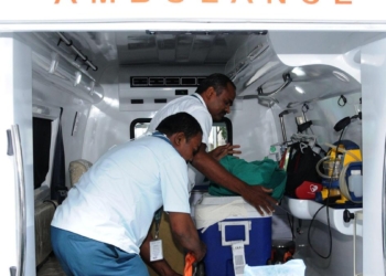 Health Matters newsletter: In loss and survival