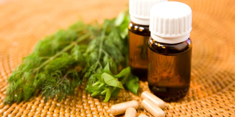 How will budget boosts, EU access remake AYUSH beyond India? | Explained