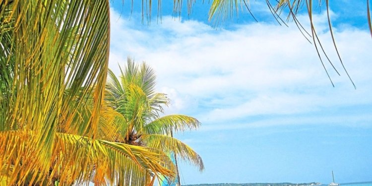 Jamaica ready to welcome tourists again after devastating hurricane