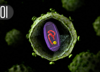 Meningitis B Vaccine Fails to Protect Against Gonorrhea in Trial