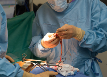 More Organs Now Obtained Via Donation After Circulatory Death