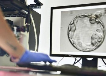 Moving from IUI to IVF: what couples should know about the right time