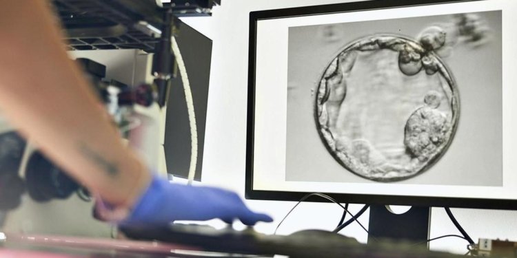 Moving from IUI to IVF: what couples should know about the right time