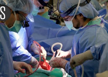 New Emphasis on N1 Lymph Nodes Dawns on Lung Resections