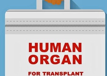 Over 500 BPL patients got free organ transplant in Karnataka since 2019