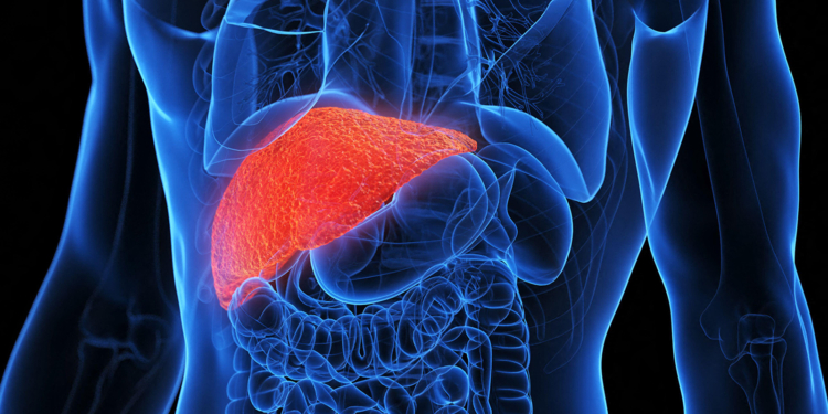 Parental Obesity Before Pregnancy Linked to Kids' Chronic Liver Disease Risk