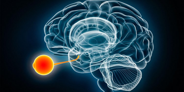 Potentially Blinding Eye Condition Tied to Ozempic Again