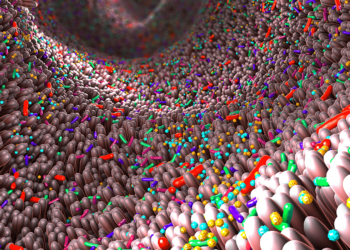 Same Stool Sample, Different Results in Gut Microbiome Tests