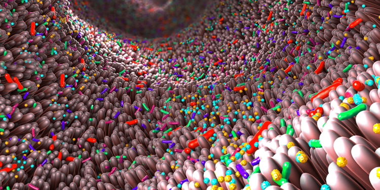 Same Stool Sample, Different Results in Gut Microbiome Tests