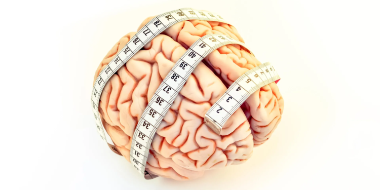 Scientists find a clue to human brain evolution in finger length