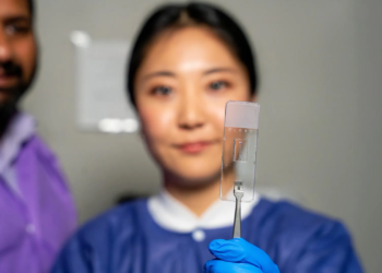 Scientists just made living blood vessels on a chip that act like real ones