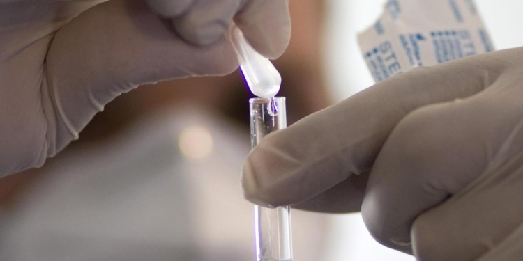 Spain alerts WHO of swine flu virus believed to have been transmitted between people