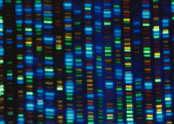 Studies Test Whether Gene-Editing Can Fix High Cholesterol