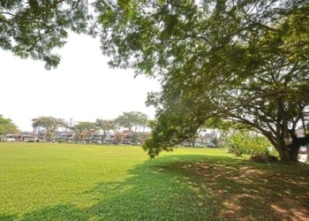 The simple power of outdoors to improve mental health