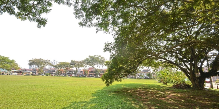 The simple power of outdoors to improve mental health