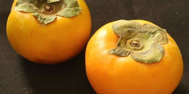 The wonders of Persimmon