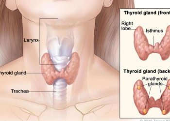 Thyroid disorders: prevention and early detection