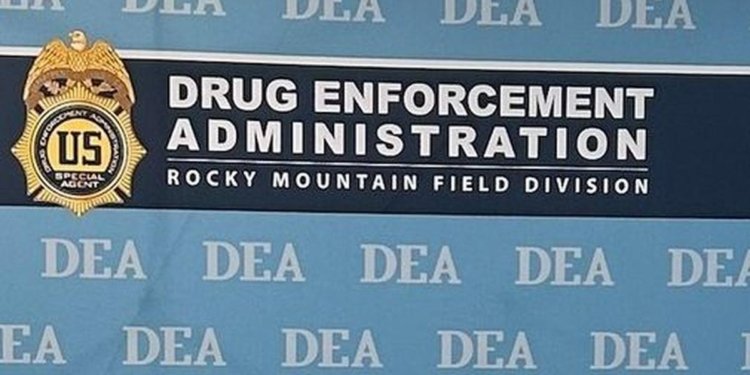 U.S. shuts down 200 ‘illegal’ online pharmacies tied to an India-based criminal organisation