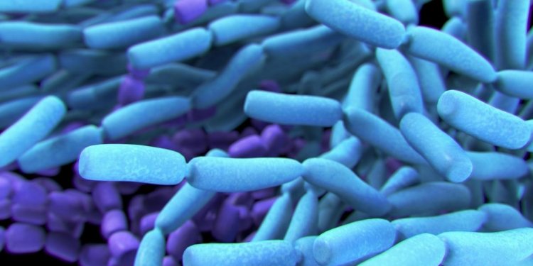 When do you really need probiotic supplements and, crucially, when don’t you? Experts explain