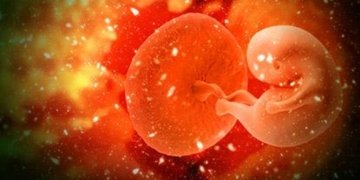 When the umbilical cord poses a threat to the baby