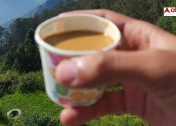 Tea In Plastic Cups: ऑफिस के बाहर प्लास्टिक के कप में पीते हैं चाय, हो सकती है यह जानलेवा बीमारी