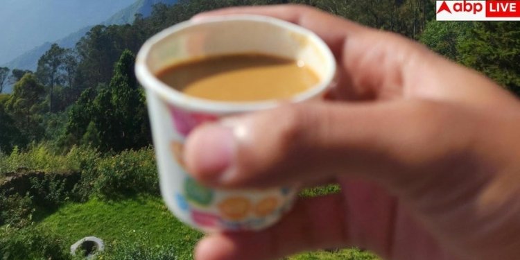 Tea In Plastic Cups: ऑफिस के बाहर प्लास्टिक के कप में पीते हैं चाय, हो सकती है यह जानलेवा बीमारी