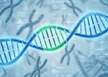 If genes played a minor role, it was assumed that lifestyle played a major one