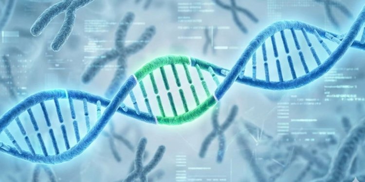 If genes played a minor role, it was assumed that lifestyle played a major one