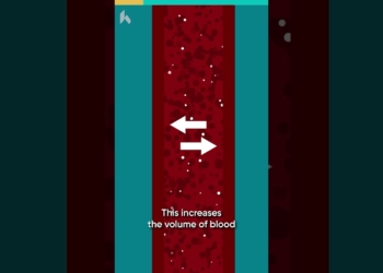 How does salt and sodium affect blood pressure?