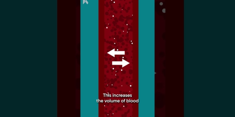How does salt and sodium affect blood pressure?