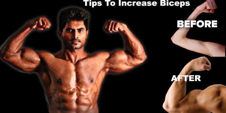Simple Tips To Increase Biceps In Telugu For Beginners || Fitness Tips Venkat Fitness