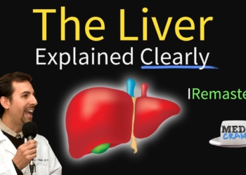 Liver Explained! Function, Pathology, Diseases, & Cirrhosis
