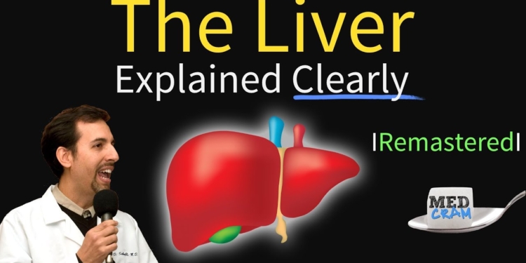 Liver Explained! Function, Pathology, Diseases, & Cirrhosis