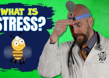 Understanding Stress: A Kid-friendly Guide To Wellbeing - Wellness 101 Junior