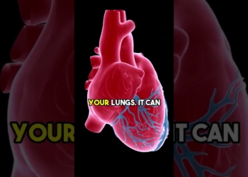 Exploring the Causes of High Blood Pressure and its Impact on Health