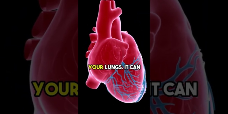 Exploring the Causes of High Blood Pressure and its Impact on Health