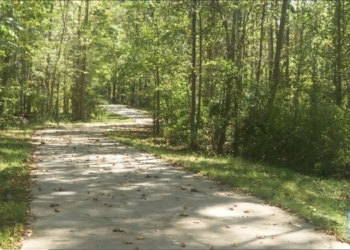 Mental Health Benefits of Getting Outside