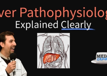 Liver Explained Clearly - Pathophysiology, LFTs, Hepatic Diseases