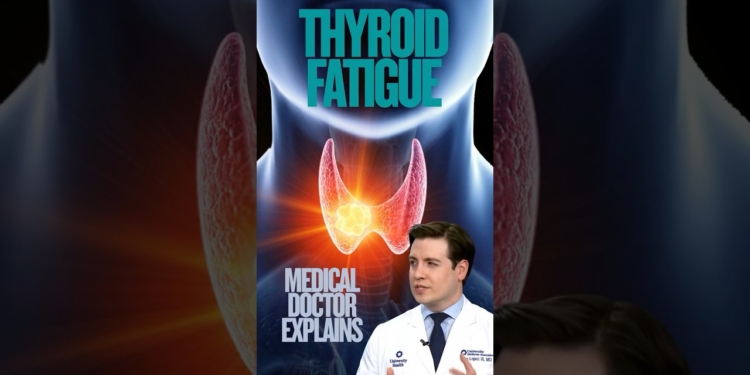Is my thyroid causing fatigue?