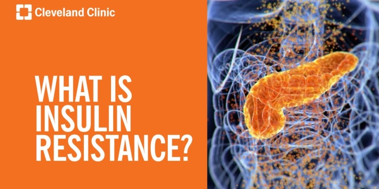What Is Insulin Resistance?