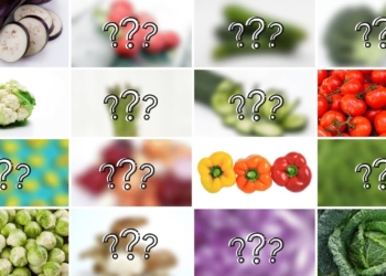 The 16 BEST Low Carb Vegetables [EAT AS MUCH AS YOU WANT!]