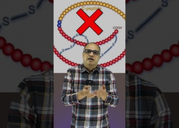 Type 1 VS Type 2 Diabetes