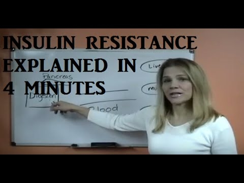 Insulin Resistance Explained