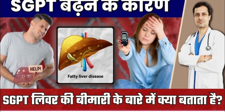 SGPT के कारण | SGPT क्यों बढ़ता है और बढ़ने पर क्या होता है | Sgpt Test In Hindi | Liver Disease
