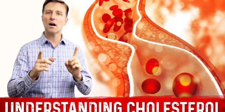 How to Read and Understand Your Cholesterol Levels