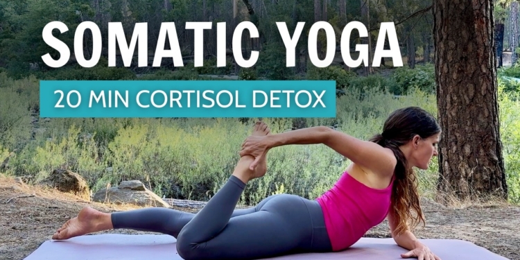 20 Min Cortisol Detox | Somatic Yoga To Release Stress