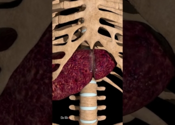 Can You Survive with Liver Cirrhosis