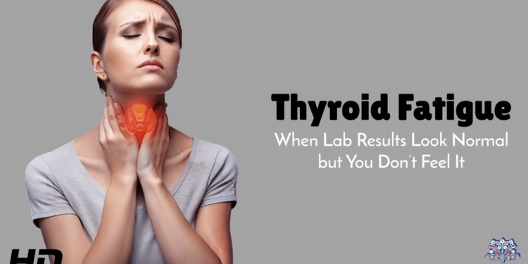 Thyroid Fatigue Explained : Why Your Lab Results Look “Normal” But You Don’t Feel Normal