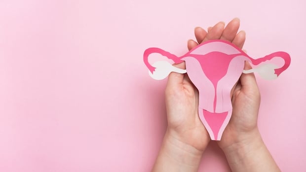Woman hands holding decorative model uterus on pink background.